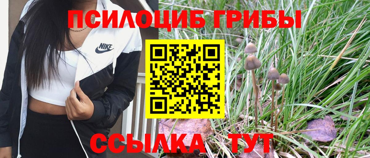 Псилоцибиновые грибы Cubensis  Галлюциногенные грибы Cubensis  Гулькевичи  Вход с VPN 